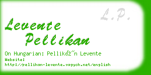 levente pellikan business card